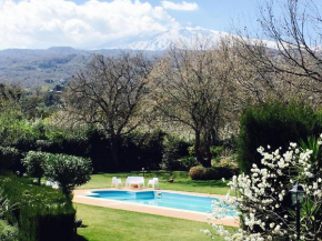 Bed and Breakfast Il Glicine